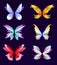 Different wings of fairy