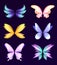 Different wings of fairy