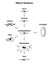 Differon fibroblasts scheme, Formation of the extracellular matrix