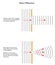 Diffraction patterns of waves through different sized gaps.