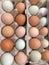 Diffrerence color fresh chicken eggs