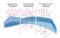 Diffusion is a process of passive transport in which molecules move from an area of higher concentration to one of lower concentra