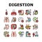 Digestion Disease And Treatment Icons Set Vector
