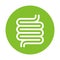 Digestion intestine icon