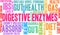 Digestive Enzymes Word Cloud