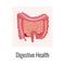 Digestive Health Organs Composition