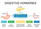 Digestive hormones. gastrin, cholecystokinin, secretin, Gastric inhibitory peptide and motilin