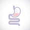 Digestive tract vector icon