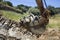 Digger bucket full of rocks