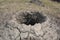 Digging holes in the ground for planting fruit tree sapling