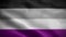 Digital animation of the waving Asexual pride flag.