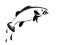 Digital art of Murray Cod fish jumping over