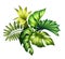 Digital botanical illustration, tropical palm leaves colorful bouquet, wild jungle foliage arrangement, floral design isolated on