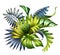 Digital botanical illustration, wild jungle foliage arrangement, tropical palm leaves, colorful bouquet, floral design isolated on