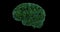 Digital brain made from printed circuit board and processors. Digital neural network. Brain energy pulsation 3D rendering