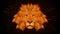 Digital brown lion head on black background