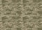 Digital camouflage pattern. Woodland camo texture. Camouflage p
