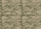 Digital camouflage pattern. Woodland camo texture. Camouflage p