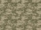 Digital camouflage pattern. Woodland camo texture. Camouflage p