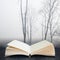 Digital composite concept image of open book wth Moody dramatic foggy forest landscape Spring Autumn Fall