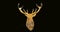Digital composite image of abstract reindeer hunting trophy antler on black background