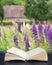 Digital composite image of Gorgeous Summer meadow of vibrant lupin flowers in English countryside garden in pages of imaginary