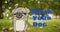 Digital composite image of grumpy pet illustration by walk your dog text on grass at park