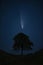 Digital composite image of Neowise Comet over lone tree landscpae