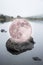 Digital composte of surreal pink Super Moon sitting on top of a rock on a calm lake surface giing a fantasy type or syle look to