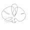 DIgital continuous line illustration of a orchid flower on white