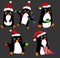 Digital design  children illustration penguins set natural animal celebrating new year