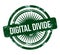 Digital divide - green grunge stamp