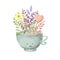 Digital draw flower in cup illustration.