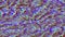 Digital error data dynamic nostalgic iridescent background.