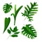 Digital exotic tropical leaves, a set for the design of invitations, letters
