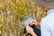 Digital farm. Portrait of farmer seating in gold wheat field and writing on tablet. Young man wearing cowboy hat in