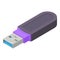 Digital flash drive icon, isometric style