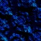 Digital Fractal Background. Abstract Blue Pattern. Modern Art Illustration. Creative Black Texture. Dark Geometric Grunge.