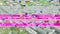 Digital glitch aerial drone view from Champ de Mars in Paris, France - to busy