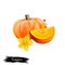 Digital illustration of hand drawn Pumpkin, Cucurbita pepo isolated on white background. Organic healthy food. Yellow vegetable.