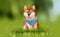 Digital illustration painting design style a shiba inu puppy on