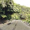 Digital Illustration Of Road Curve In Tropical Island Journey.