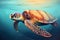 Digital illustration of turtle swimming under the blue ocean.