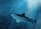 Digital oil painting of shark swimming underwater in ocean.
