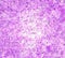 Digital Painting Abstract Granite Texture in Pastel Violet Color Background