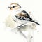 Digital painting of a chaffinch bird on watercolor background. generative AI