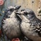 Digital painting of a pair of birds in love. Generative AI