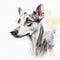 Digital painting of a portrait of a greyhound dog on a white background AI generated animal ai