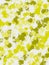 Digital rainbow yellow paint ball splatter