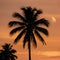 Digital Silhouette of palm tree against orange sunset sky, tropical scene